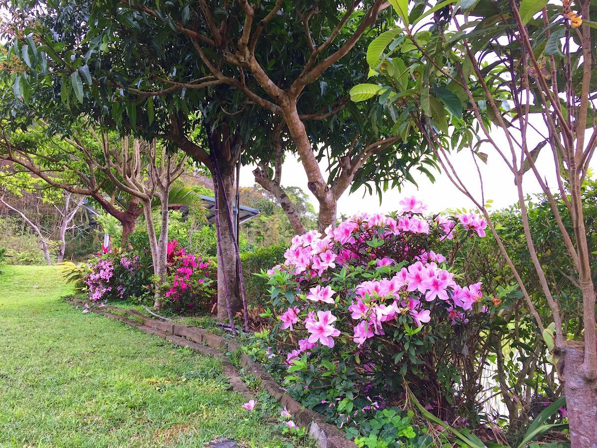 Jiu An Qing Jing Homestay 富里郷 エクステリア 写真